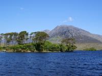 Bewaldete Insel im Derryclare Lough - Connemara, Co. Galway